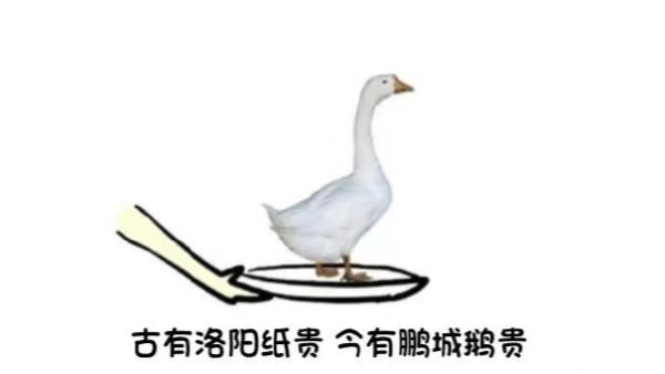 深圳学卤鹅有一千七的补贴？人社局：以“鹅”传“鹅”的误会
