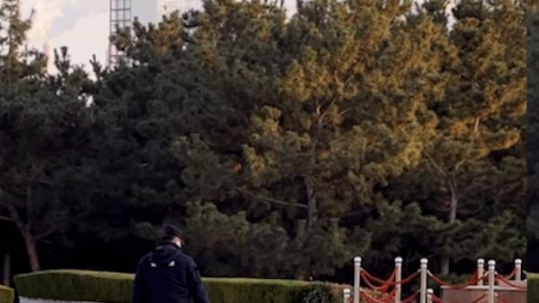 可可爱爱！高校保安大叔蹑手蹑脚从背后“偷偷”撸猫