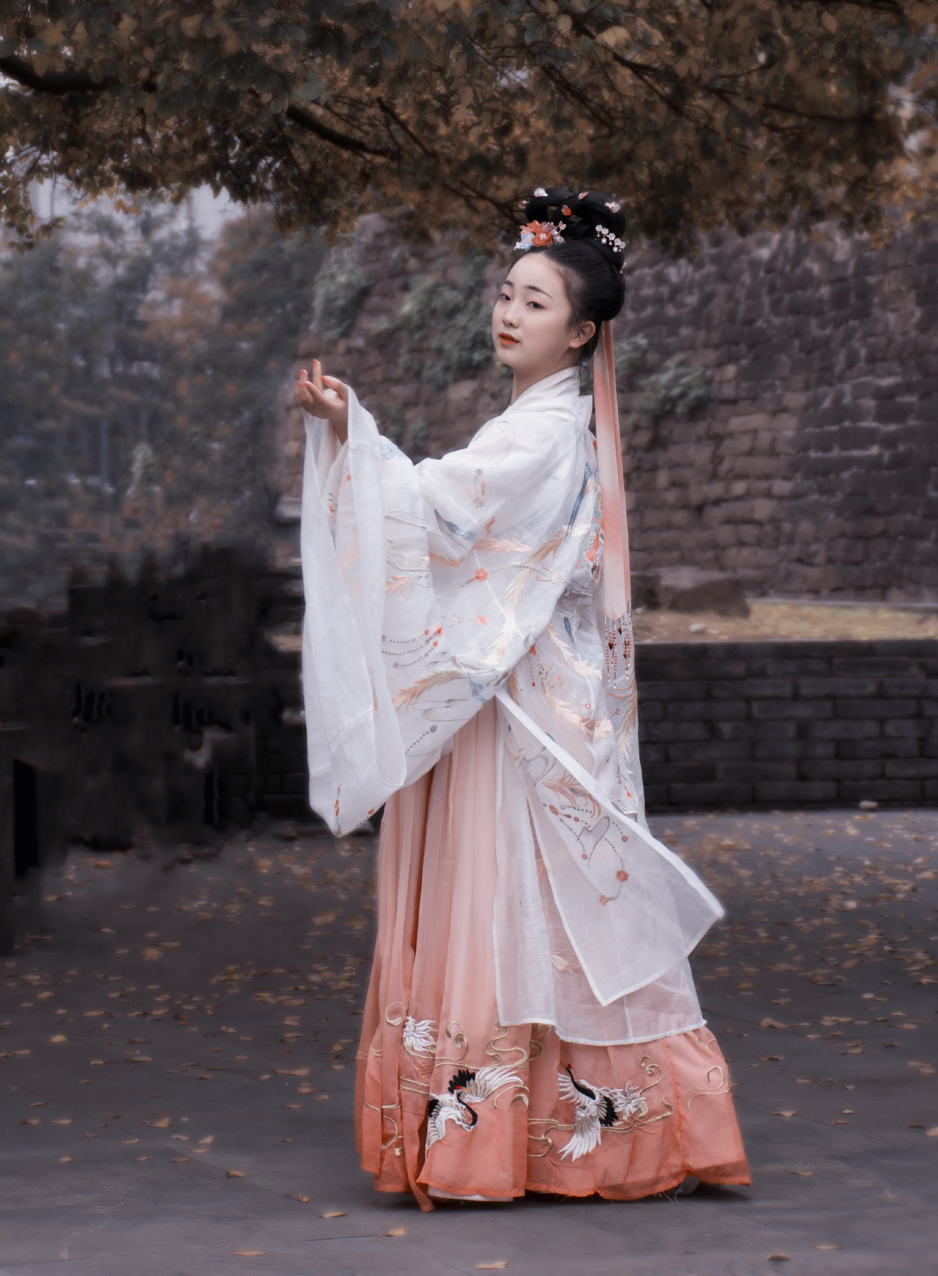 来自各行各业也,爱好不同制式的汉服,因为爱好,使我们相聚,堂堂中华