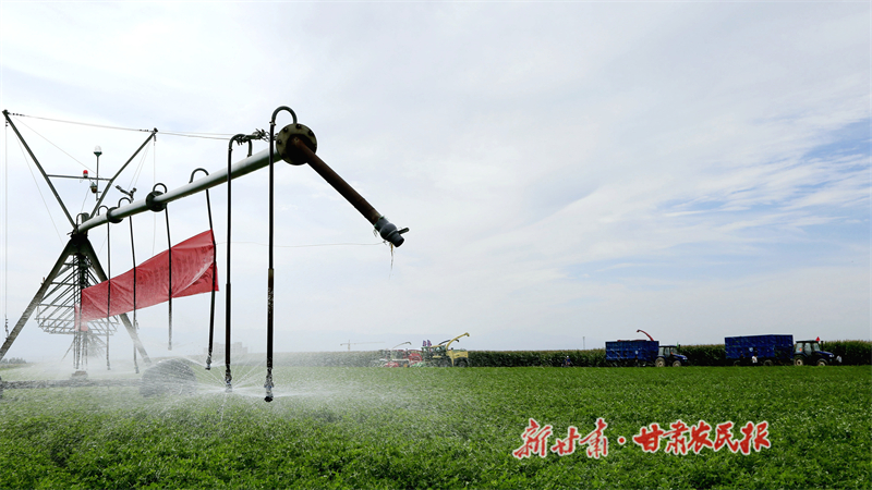 民乐：关于智慧农业的遐想与实践