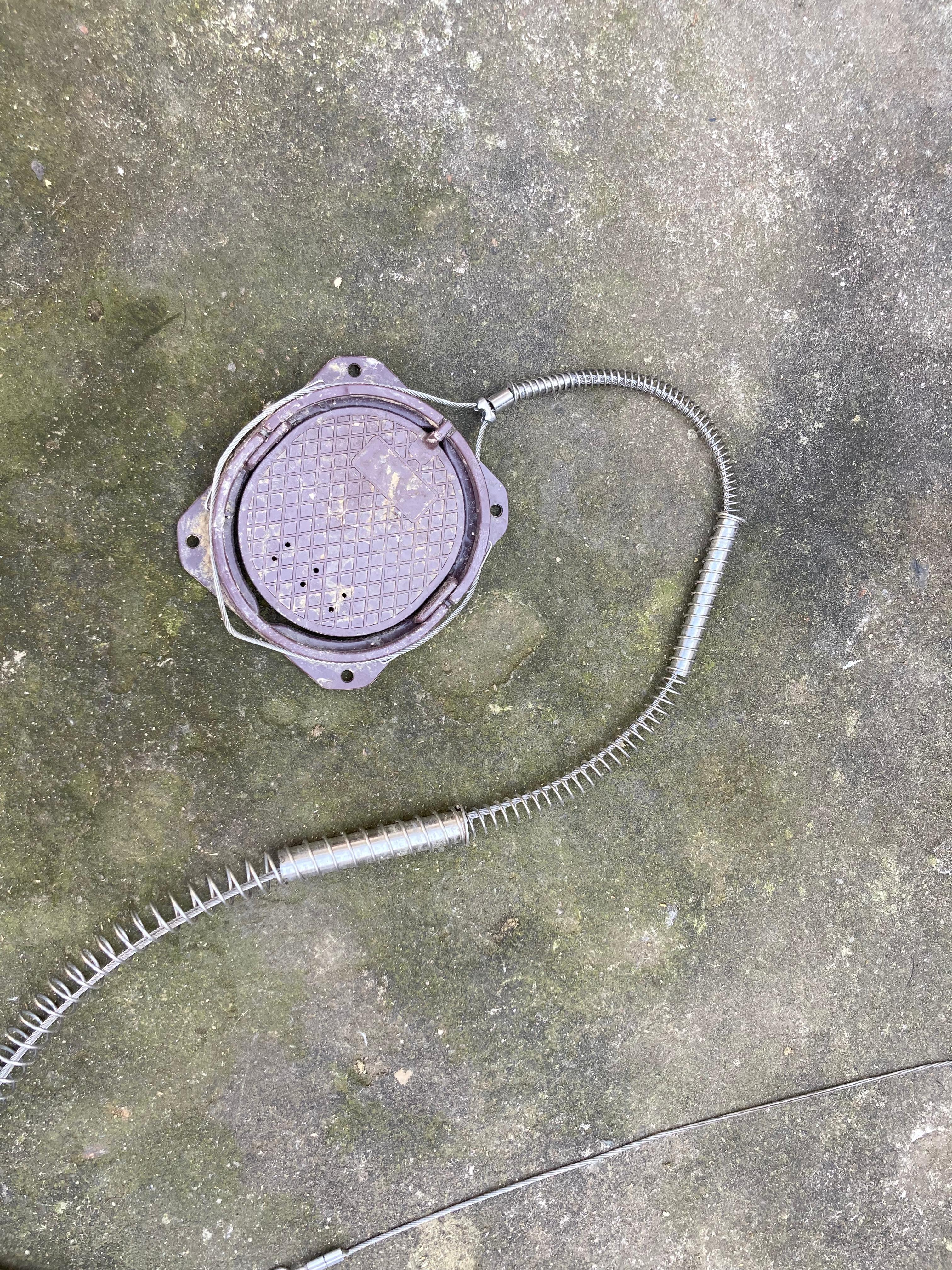 野猪下山为患不断逼近村民生活区安徽等省份试点防控