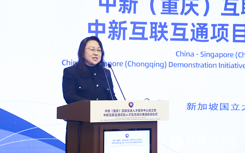 新加坡国立大学重庆研究院副院长（教育）傅蔚发布新加坡国立大学博士生定向培养计划、高级公共行政与管理硕士项目