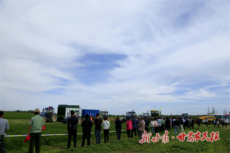 民乐：关于智慧农业的遐想与实践