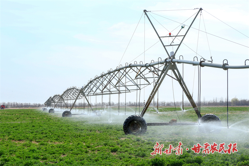 民乐：关于智慧农业的遐想与实践
