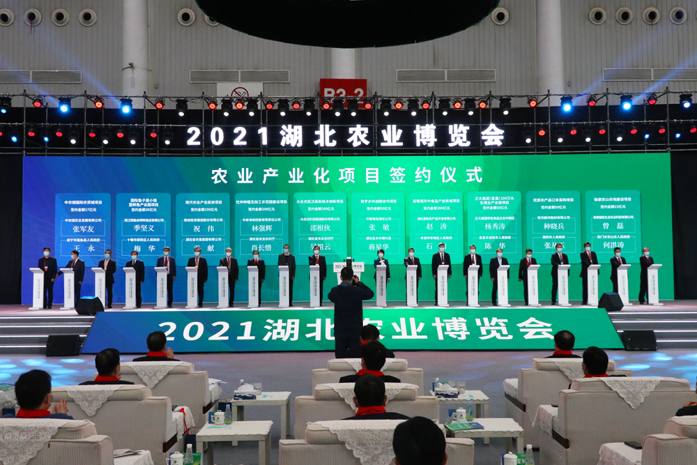 签约现场 （徐晓蝶 摄）