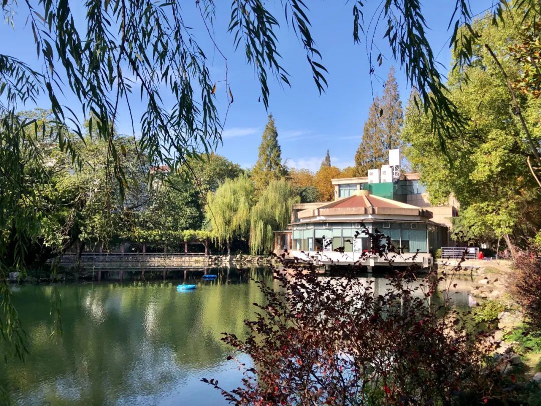 红菱社区里的采荷公园丨拍摄:戴滋仪