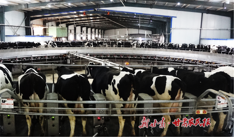 民乐：关于智慧农业的遐想与实践