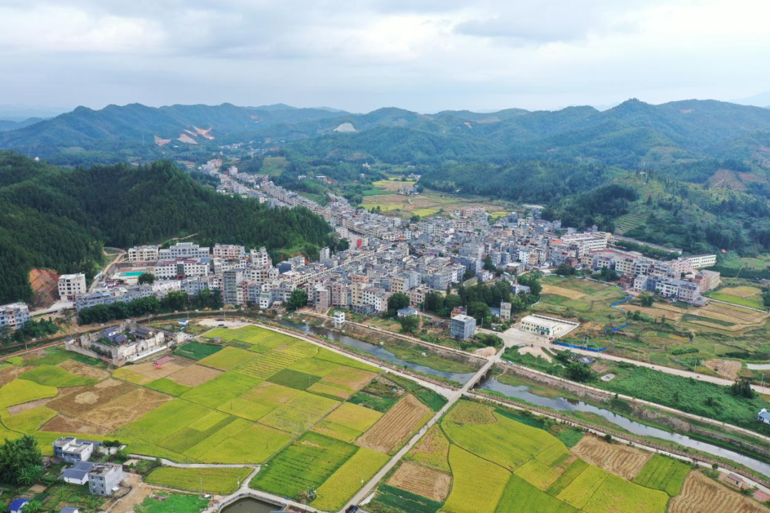 江西省赣州市寻乌县菖蒲村长寿情况调研报告