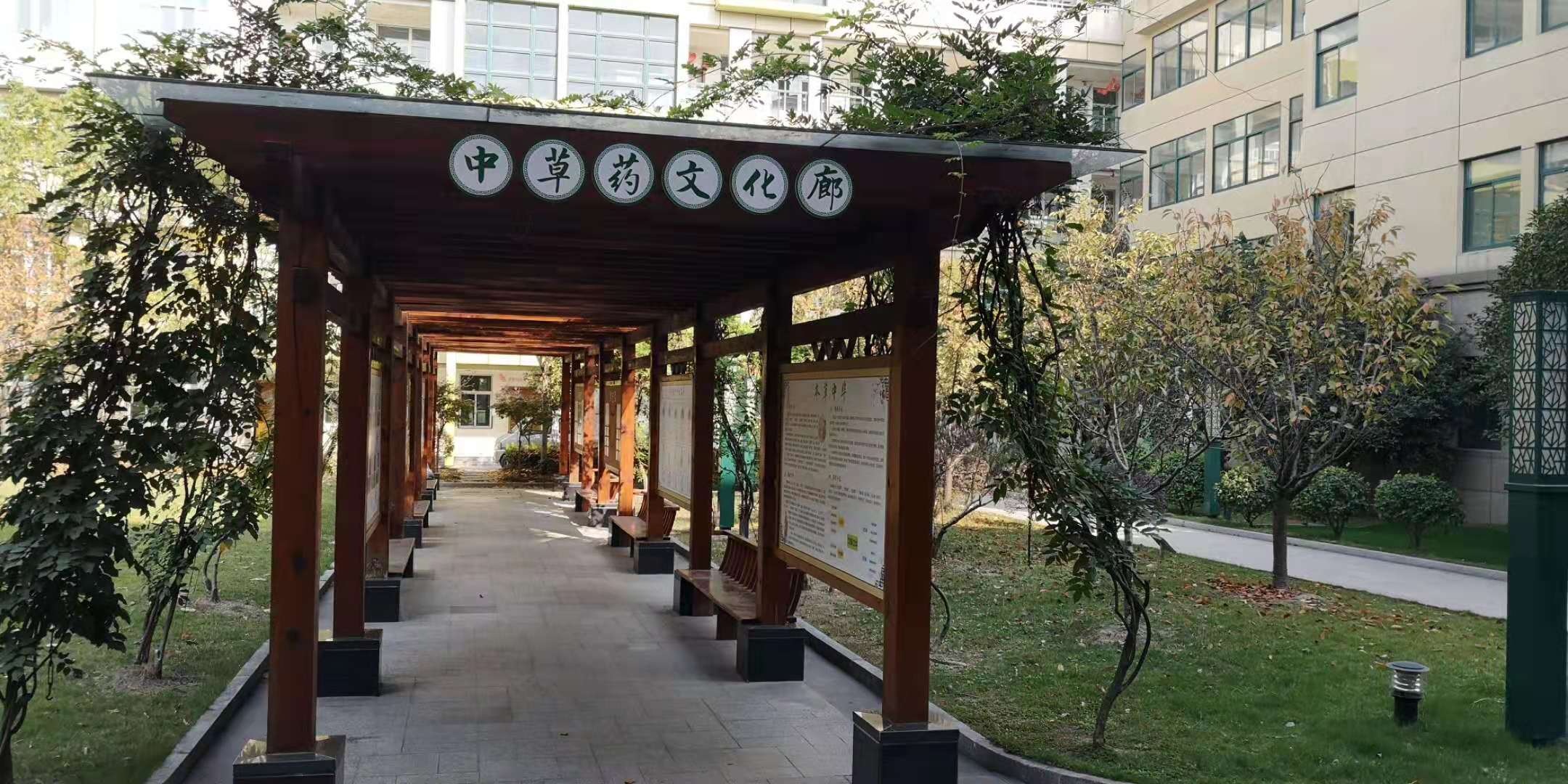 学校根据这门课,特意开设了中草药文化长廊,分享中草药知识.