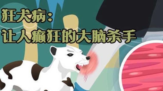 狂犬病：让人癫狂的大脑杀手