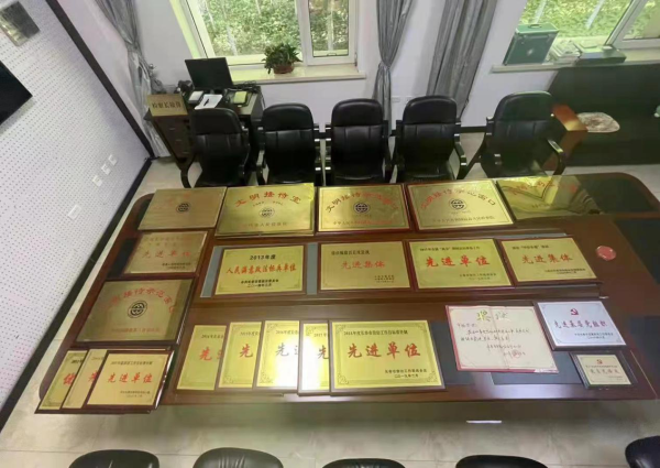 长春市人民检察院第九检察部所得荣誉