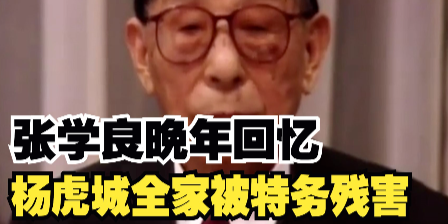 杨虎城全家遇害，张学良晚年回忆：不知道是不是蒋先生做的，这个不能说