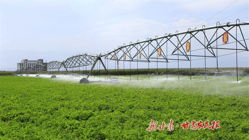 民乐：关于智慧农业的遐想与实践