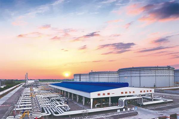 山东省首个筒仓公用型保税仓库落户烟台港