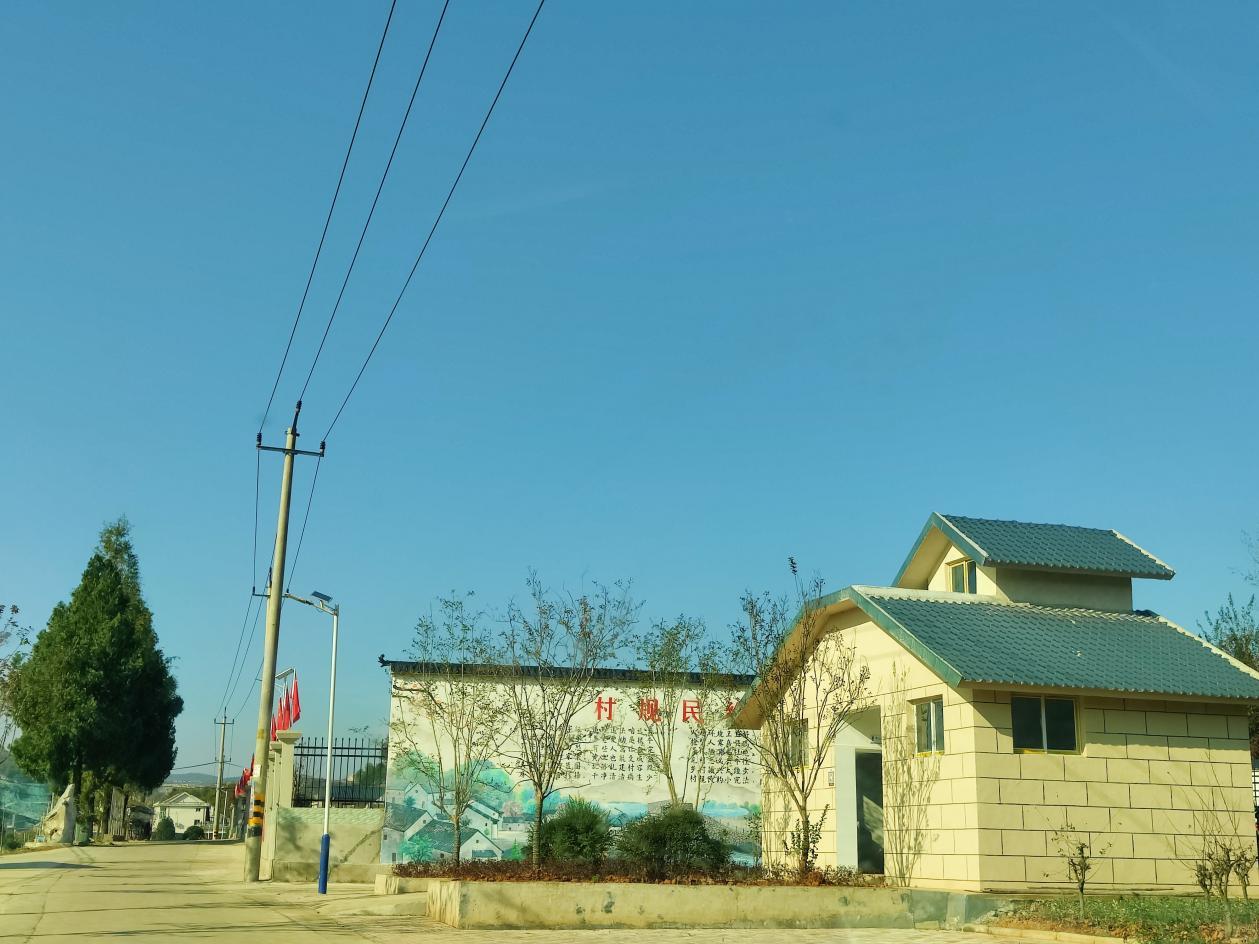 安徽东至县葛公镇小蜜蜂拓宽致富路