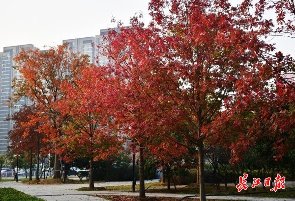 点击查看高清原图