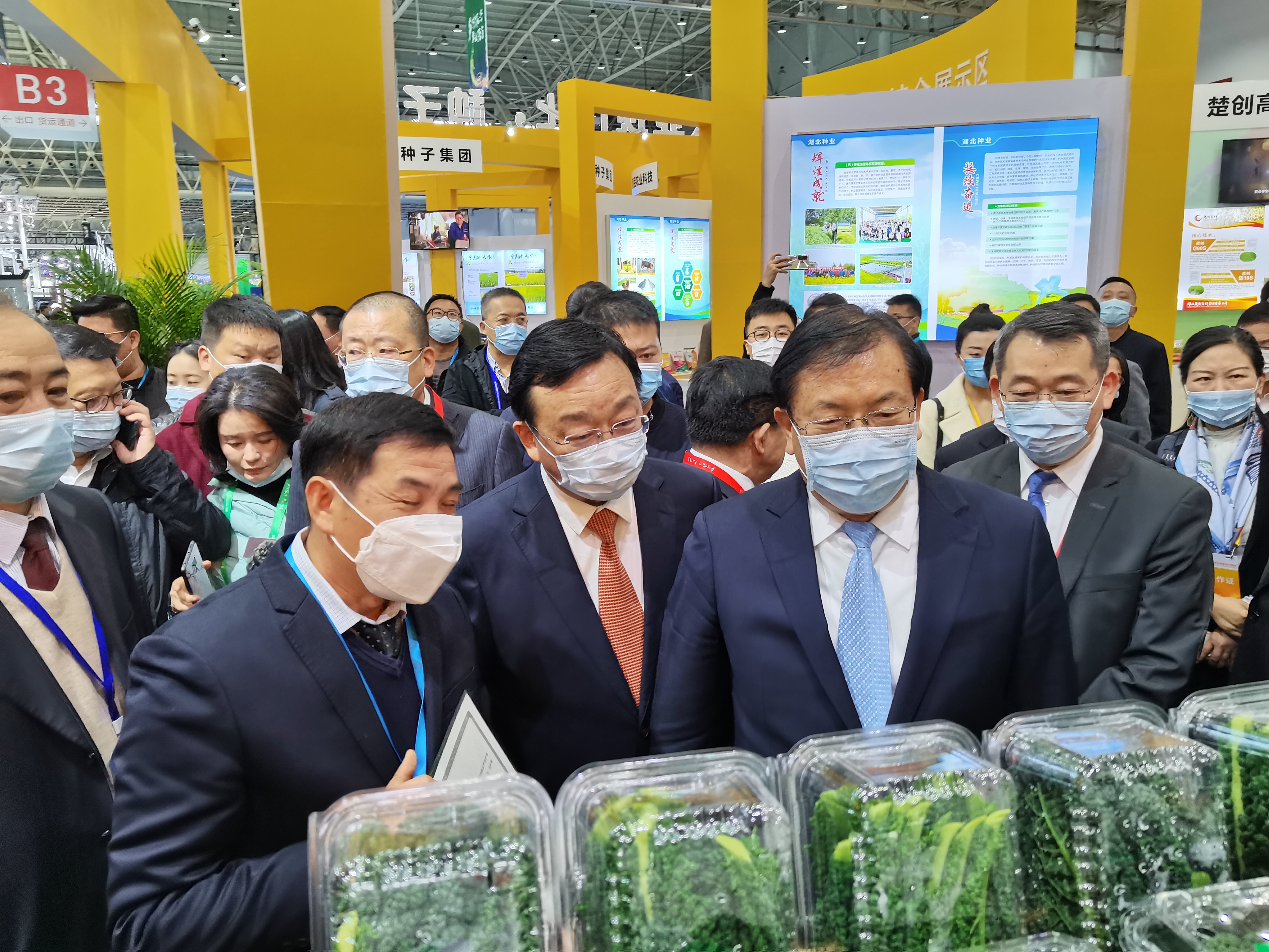 领导参观湖北农博会现场（官方供图）