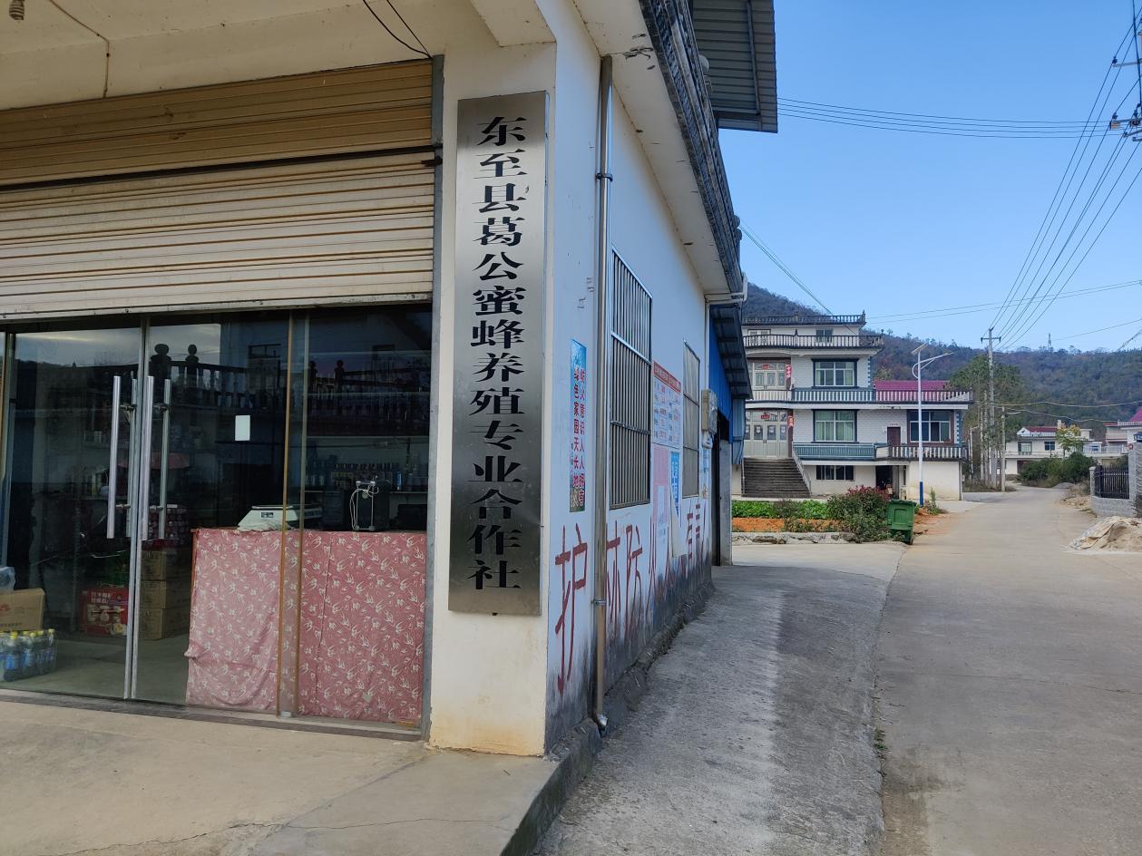 安徽东至县葛公镇小蜜蜂拓宽致富路