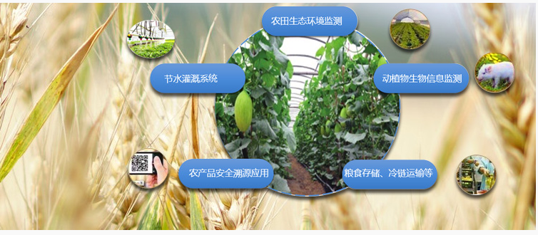 宁波工业互联网研究院   孵化产业 助力成长