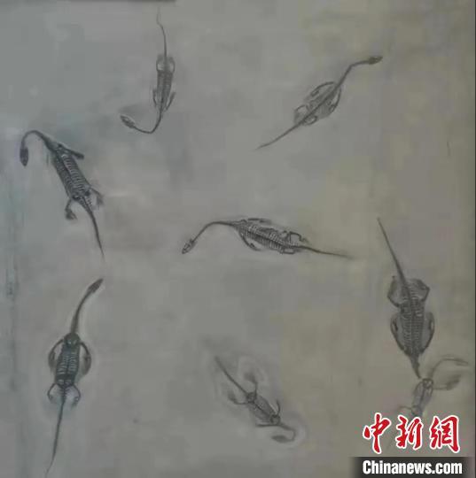 江苏校友们捐赠的贵州龙化石。 成都理工大学供图
