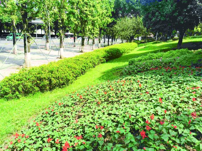 边坡绿化美化万州是典型的山地城市,尤其是人口密集的老城区,难以大