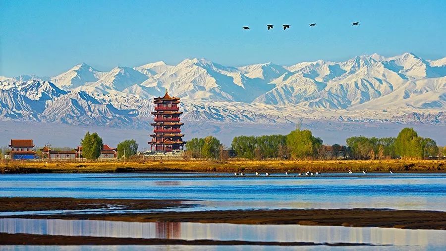 不到大西北不知天之广阔 不到张掖不知甘肃有多美