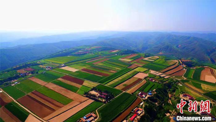 自2012年“陕甘宁盐环定扬黄续建工程”引水至环县以来，当地民生、生态均变化巨大。图为环县梯田。张永鑫 摄