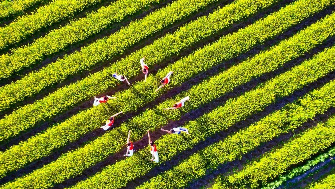 不到大西北不知天之广阔 不到张掖不知甘肃有多美
