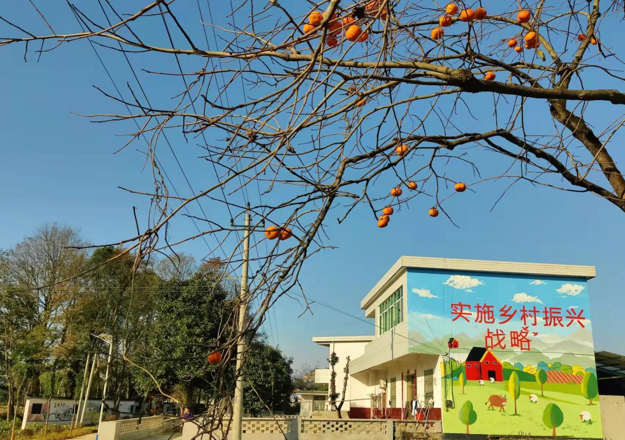 安徽东至县葛公镇落实党的十九届六中全会精神接续奋斗开新局