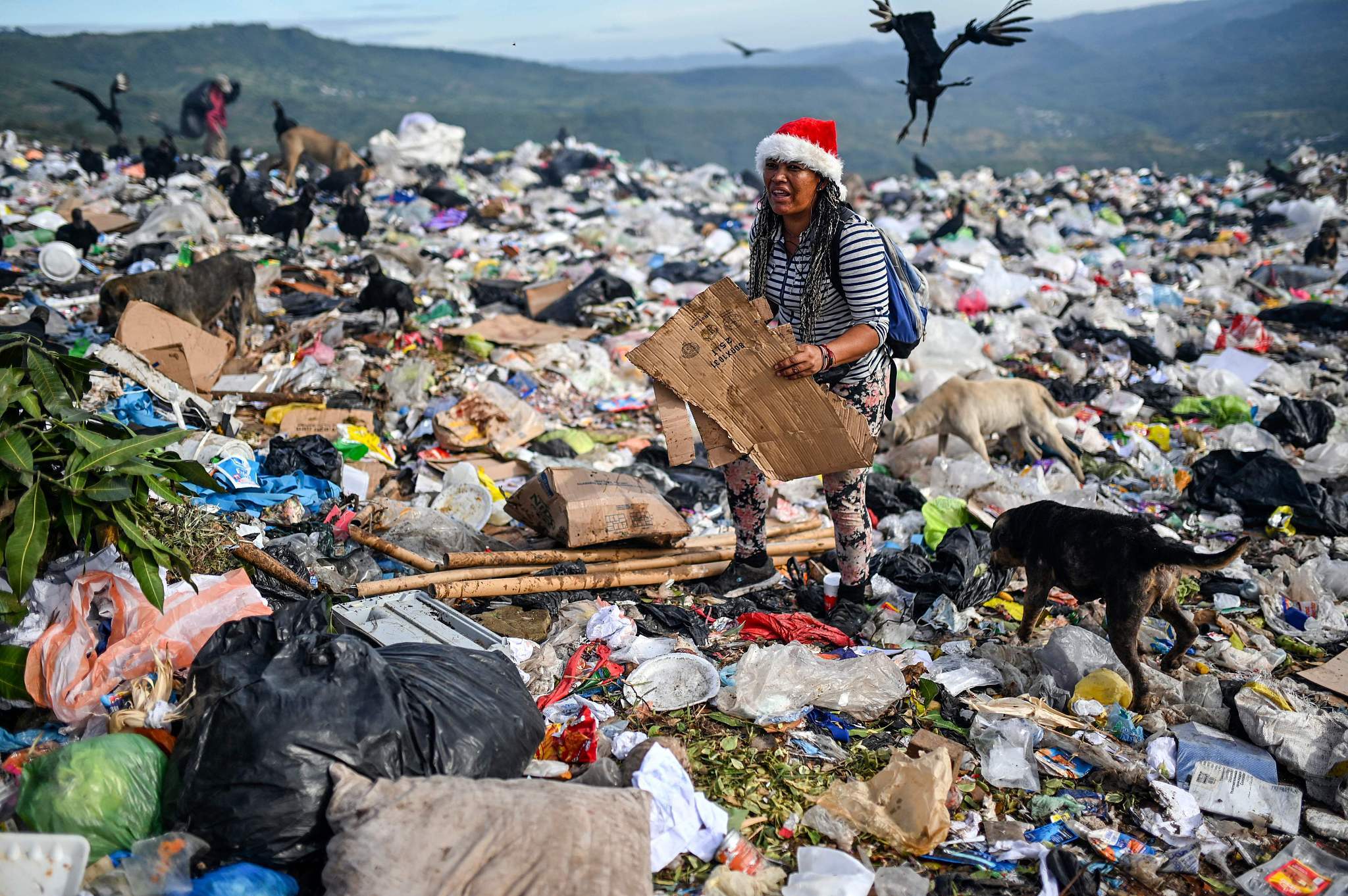 洪都拉斯垃圾场秃鹰和人争夺废料_凤凰网资讯_凤凰网