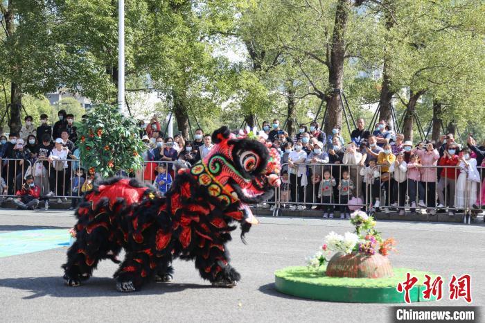 比赛现场 广州市体育总会 供图