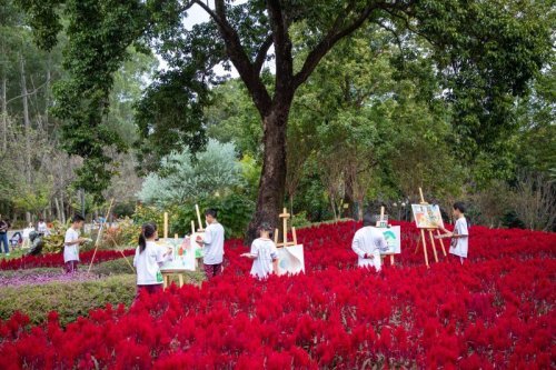 童眼绘森林活动。通讯员供图