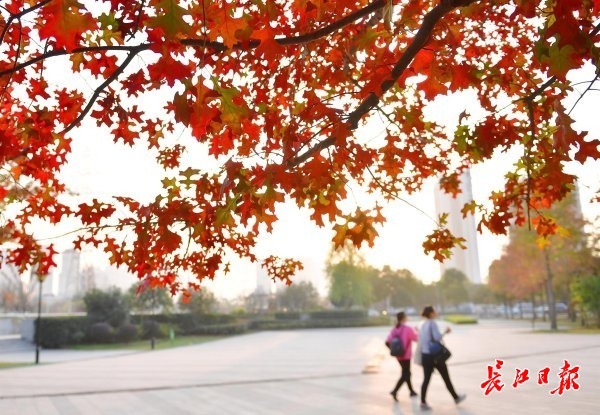 点击查看高清原图