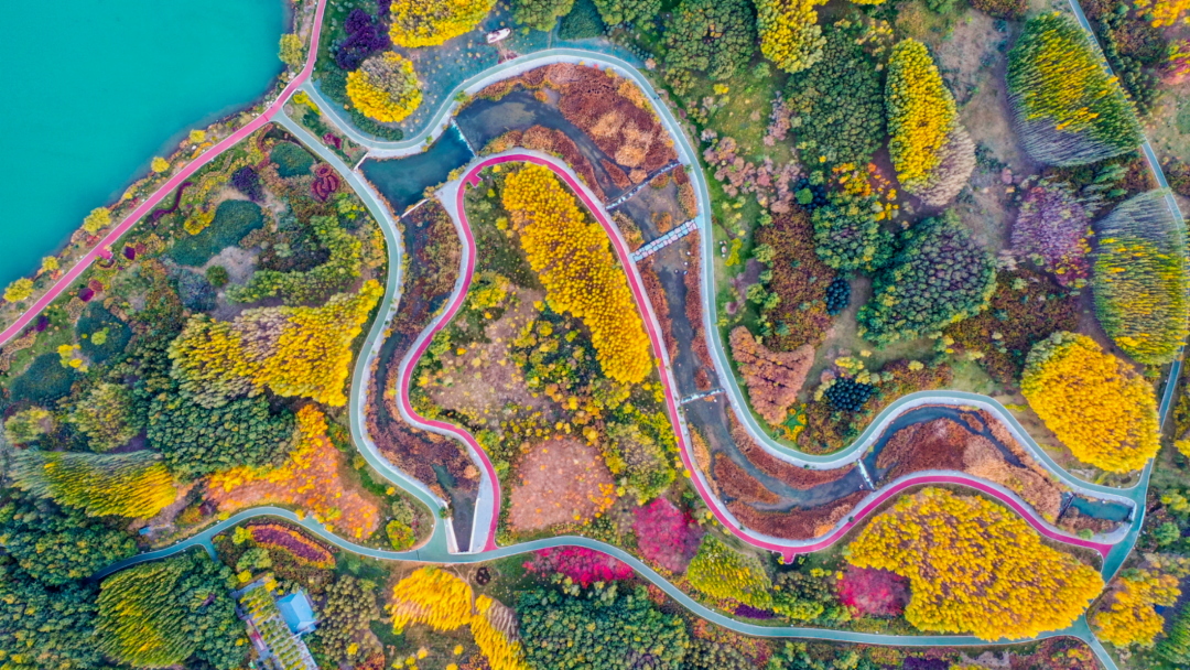 不到大西北不知天之广阔 不到张掖不知甘肃有多美