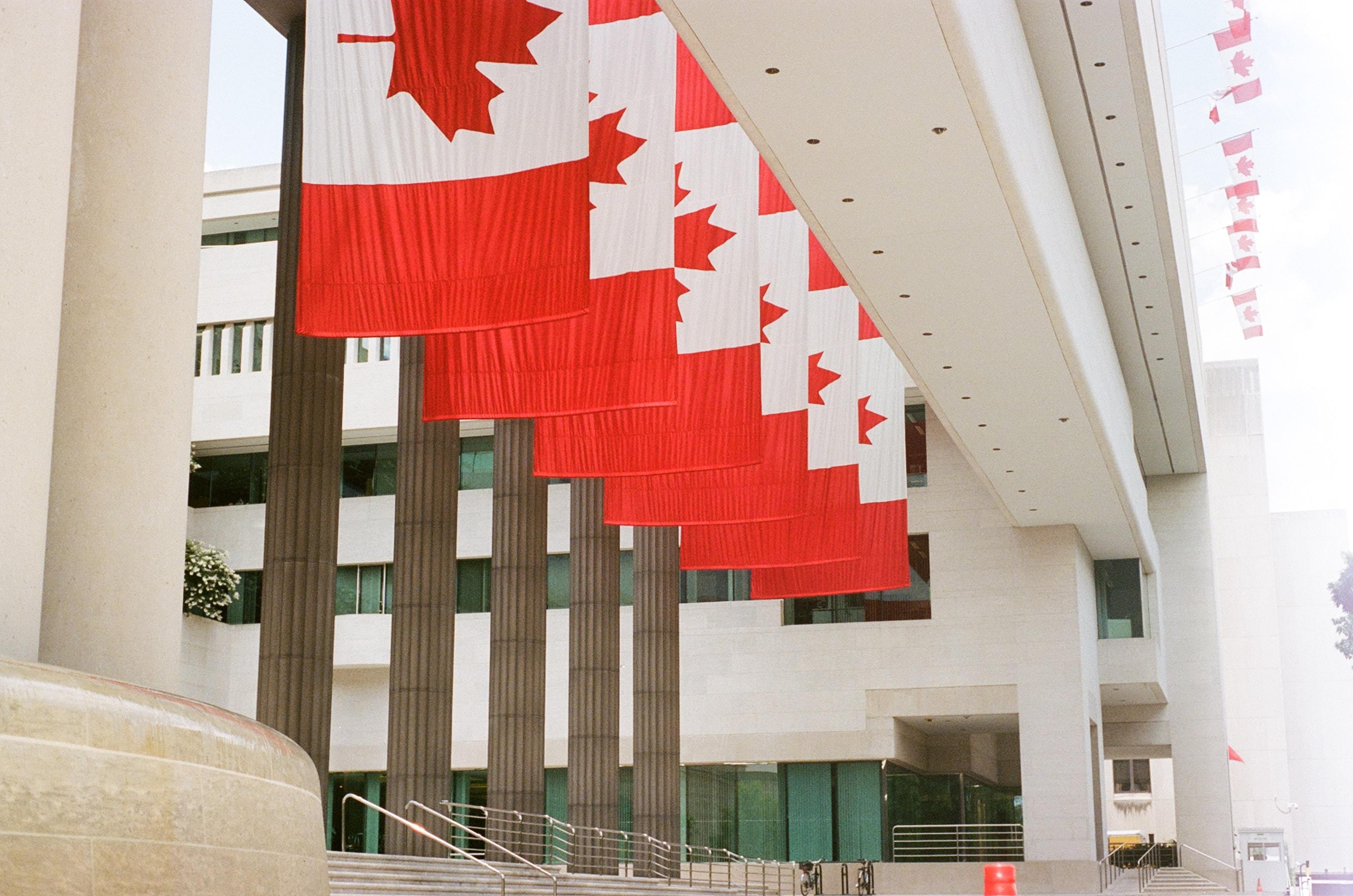 刚刚！中国驻加拿大使馆发布重要通知：恢复赴华10年签证！_大学_org_规模