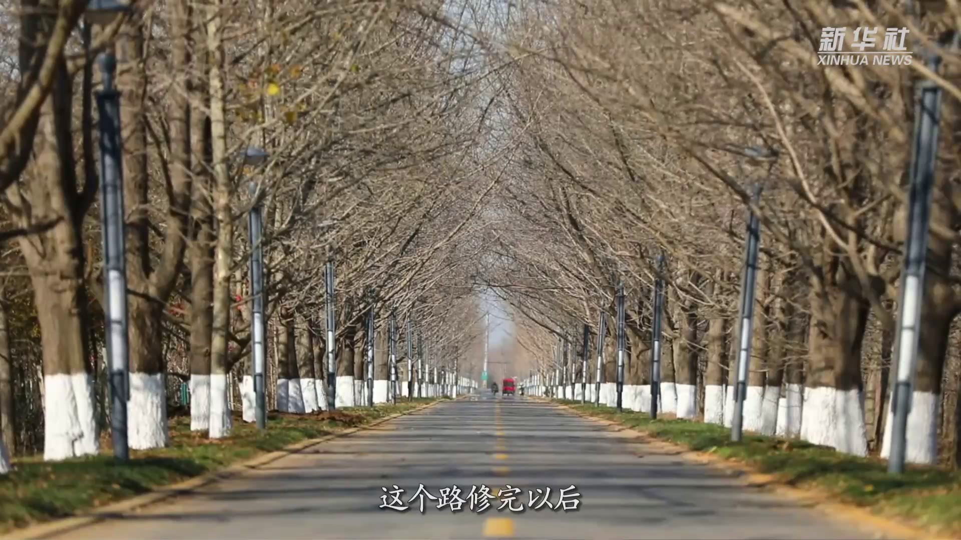 山东郯城：美丽农村公路助力乡村振兴