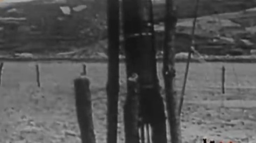 1946年，冯白驹正面临着关系琼崖纵队生死存亡的重大选择