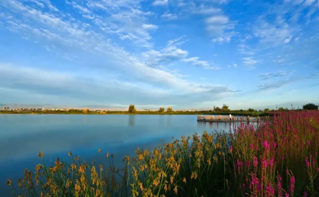 不到大西北不知天之广阔 不到张掖不知甘肃有多美