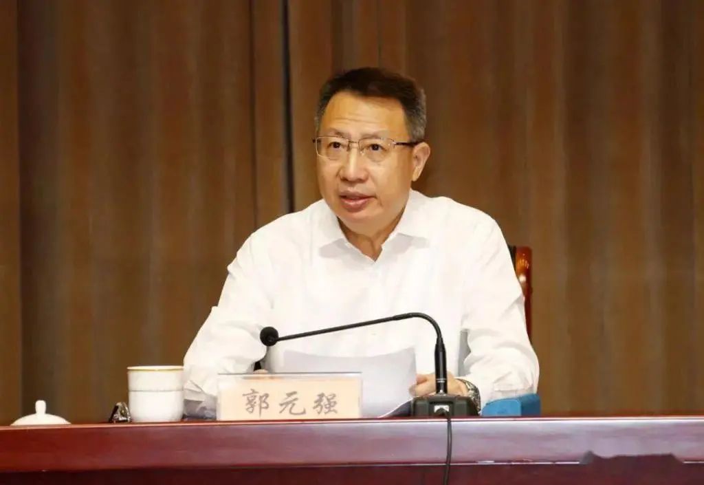 武汉市委书记郭元强