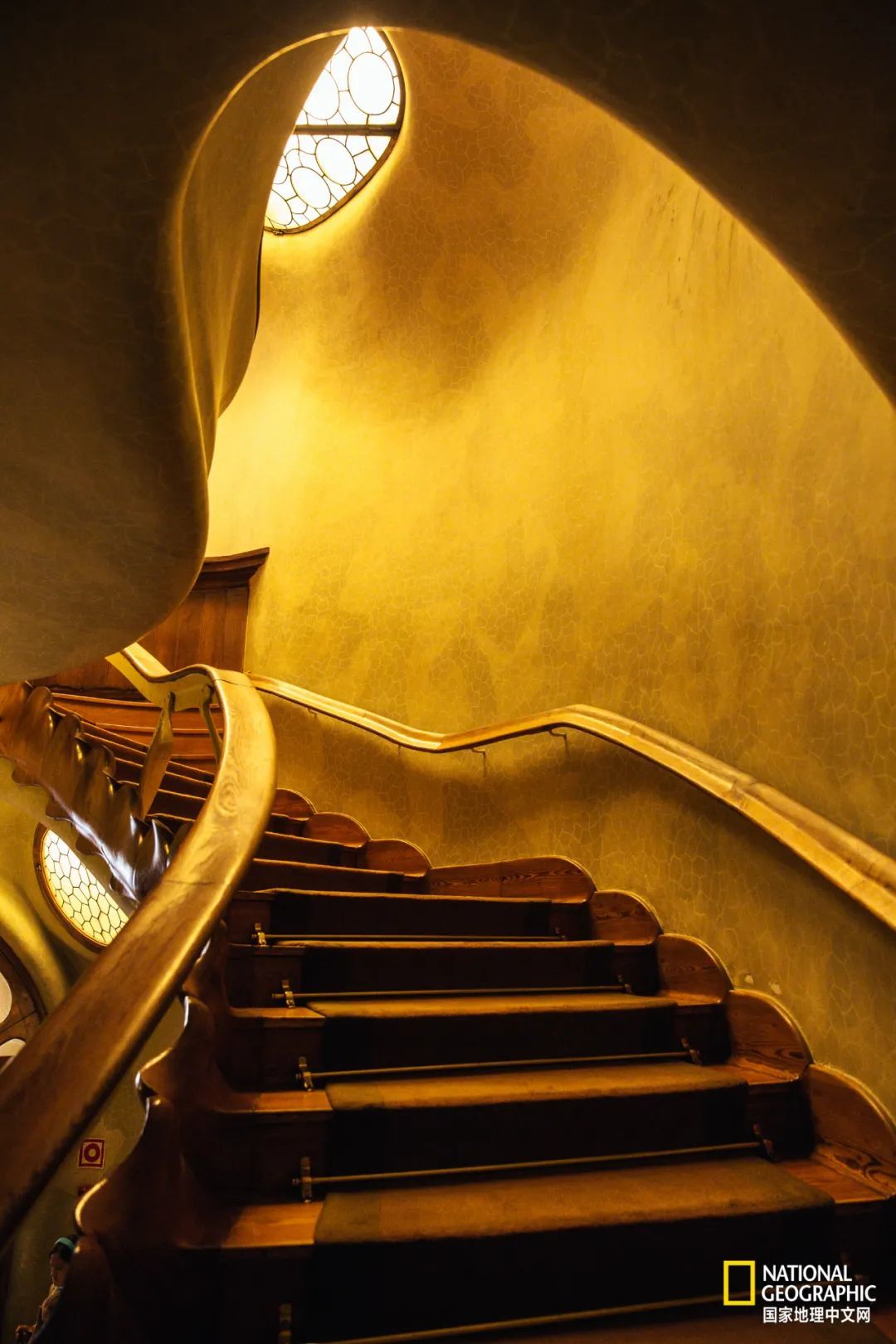 巴特罗之家 | 楼梯