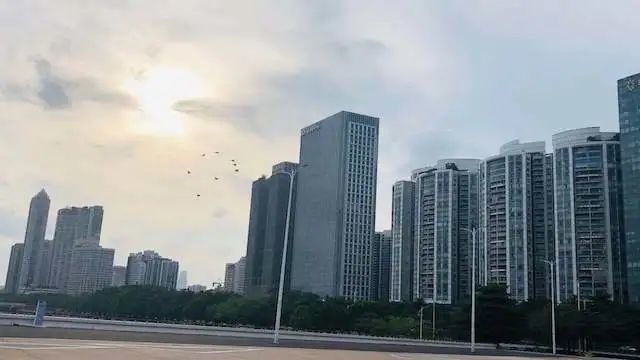 沪穗两城第三轮土拍落幕 多数民营房企选择“弃权”_凤凰网