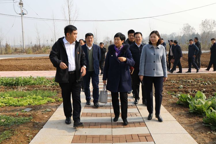 济南市民政局观摩圣悦总支党群服务中心建设。