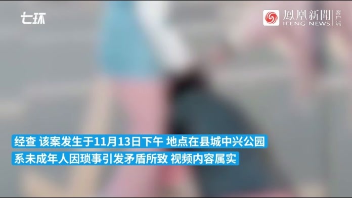 殴打未成年人视频引关注 石家庄警方回应
