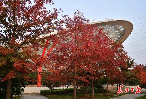 点击查看高清原图