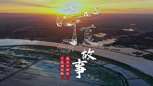 枸杞红、嫩葱绿、象牙黄，你印象中的宁夏，是什么颜色的？