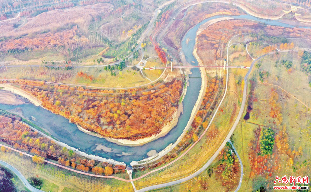 六安:湿地"披金"凤凰网安徽_凤凰网