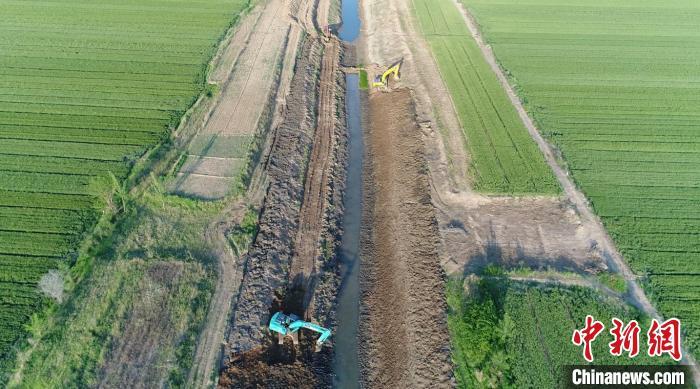 河北枣强引蓄黄河水助农灌溉减少抽取地下水4000万立方米