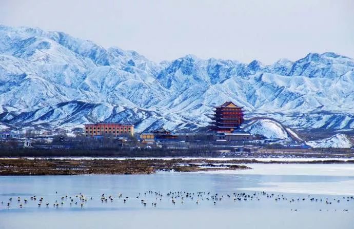 不到大西北不知天之广阔 不到张掖不知甘肃有多美