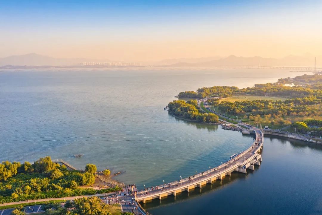 深圳湾公园,无敌海岸线. /视觉中国