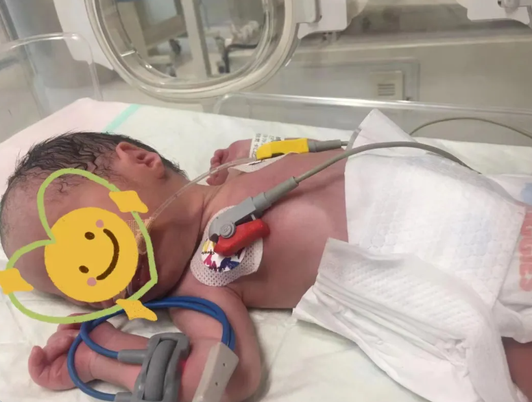 董凤群说胎心：多学科联手护“心”生